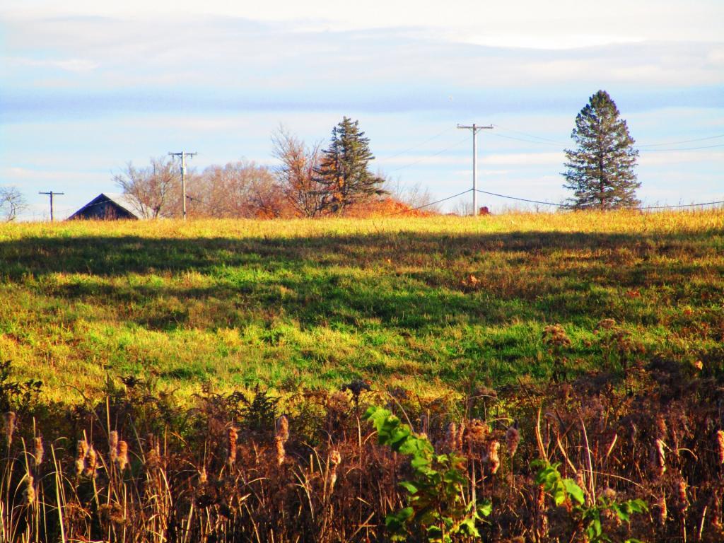 Photo: Meads Road Photo: Meads Road