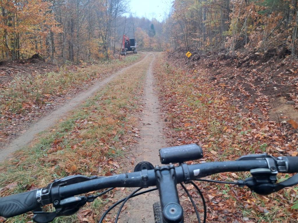 Photo:  Massawepie Road through the Conifer-Emporium Timber Easement