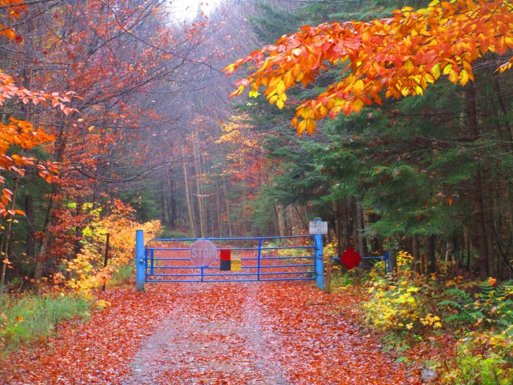 Photo: End of Pine Pond Road Photo: End of Pine Pond Road