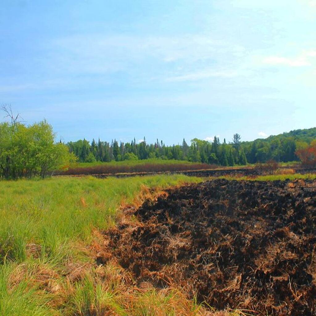 Photo: Much of Powley Place burned recently