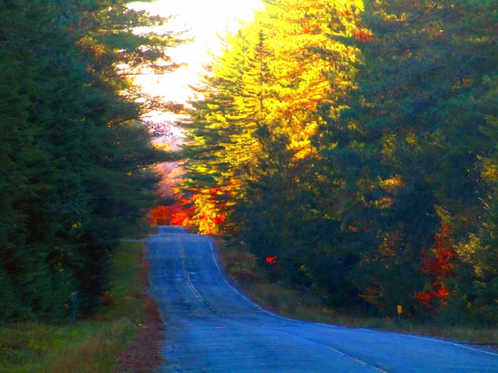 Photo: Walking along NY 421 Photo: Walking along NY 421