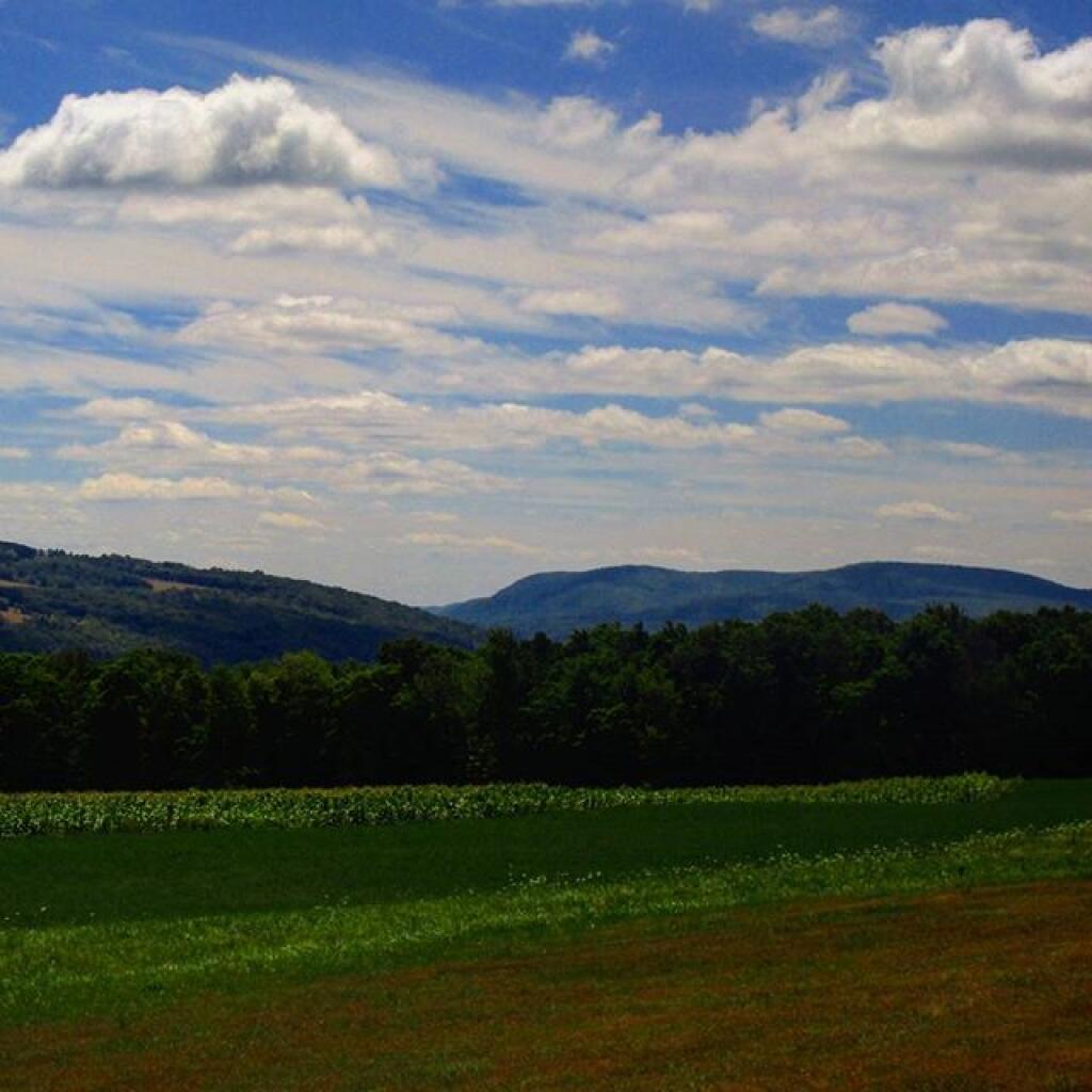 Photo: Nice day Photo: Nice day