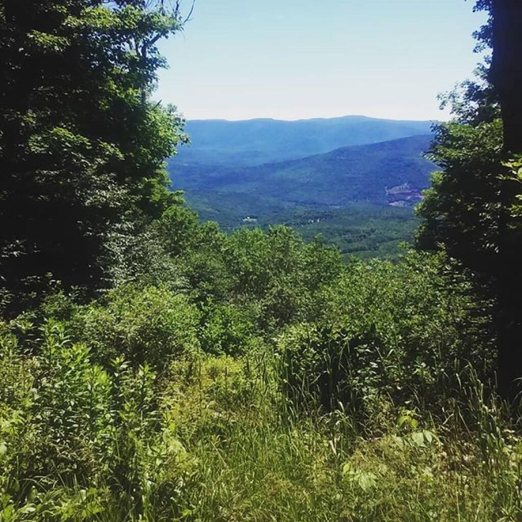 Photo: Decided to do a quick jaunt up the mountain Photo: Decided to do a quick jaunt up the mountain