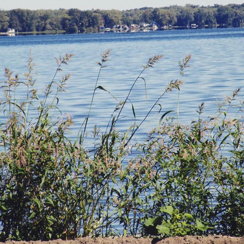Photo: Shoreline Photo: Shoreline
