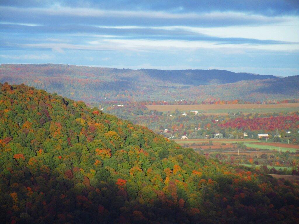 Photo: Labrador Hill