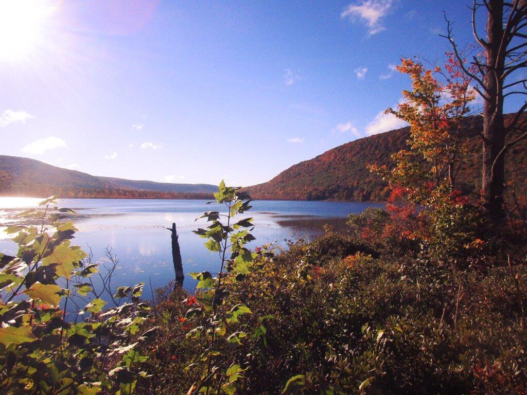 Photo: Nice Day At Labrador Pond