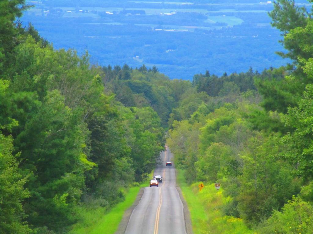 Photo: Picnic Area Road Photo: Picnic Area Road