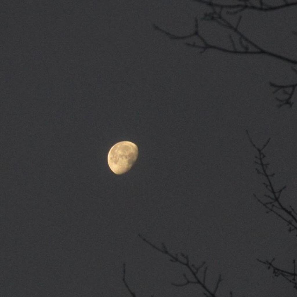 Photo: The moon early Friday morning