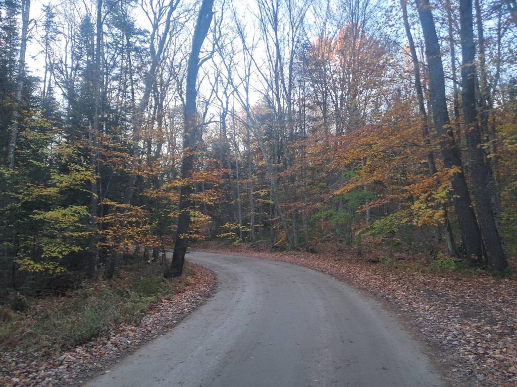 Photo: Floodwood Road