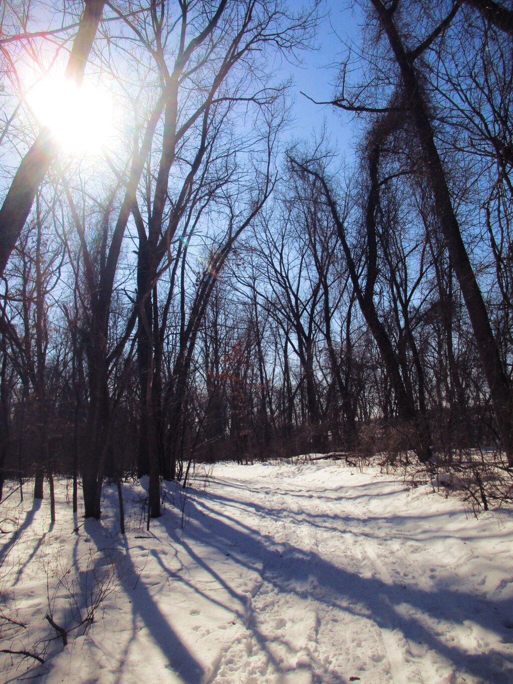 Photo: Nice Skiing