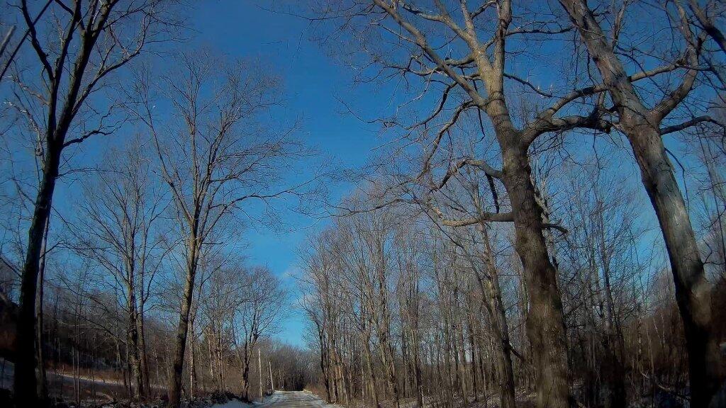 Photo: Wolf Hill Road 01