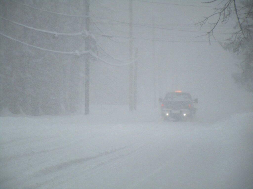 Photo: Wintery Delaware Avenue Photo: Wintery Delaware Avenue