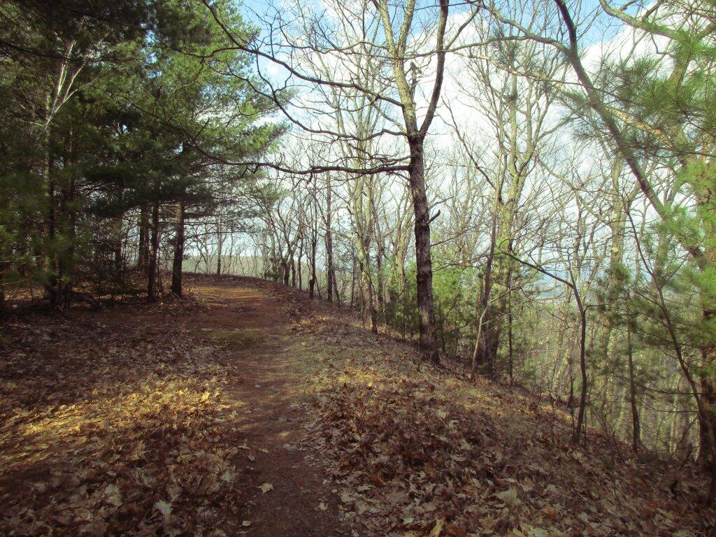 Photo: White Trail