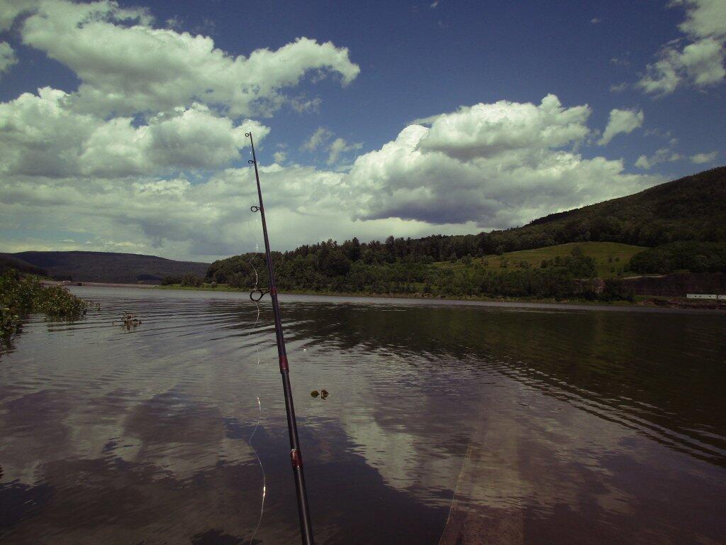 Photo: Fishing At The Bleheim Reservior Photo: Fishing At The Bleheim Reservior