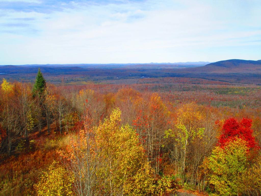 Photo: Northeast towards the Saint Lawrence Flatlands Photo: Northeast towards the Saint Lawrence Flatlands