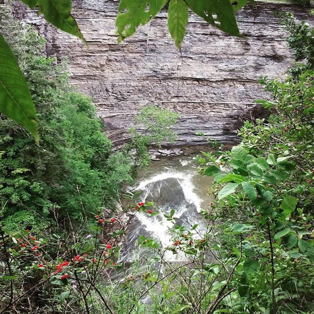 Photo: Gorge