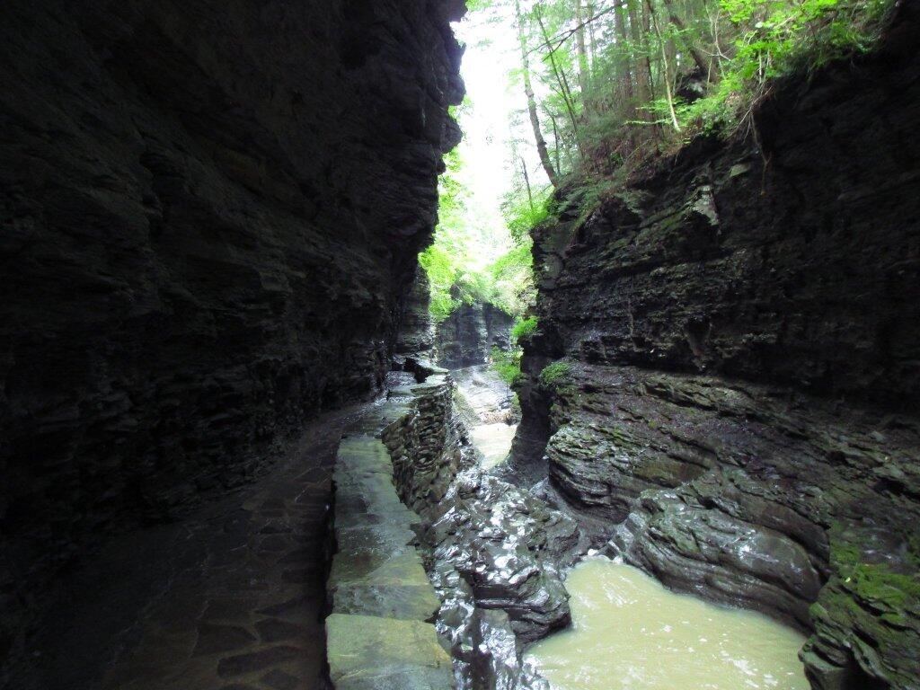 Photo: Muddy