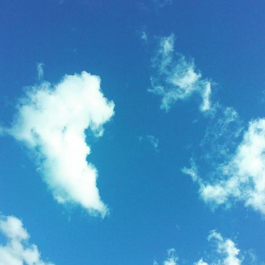 Photo: Blue Skies Photo: Blue Skies