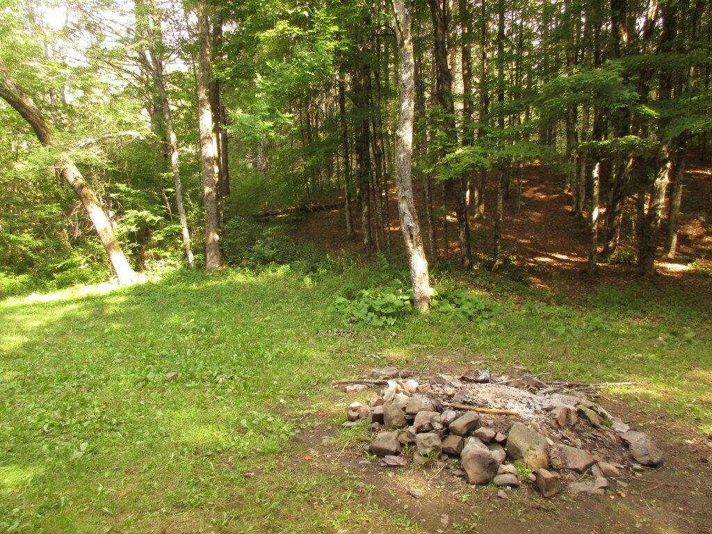Photo: West Kill Site Is Pretty Nice Photo: West Kill Site Is Pretty Nice