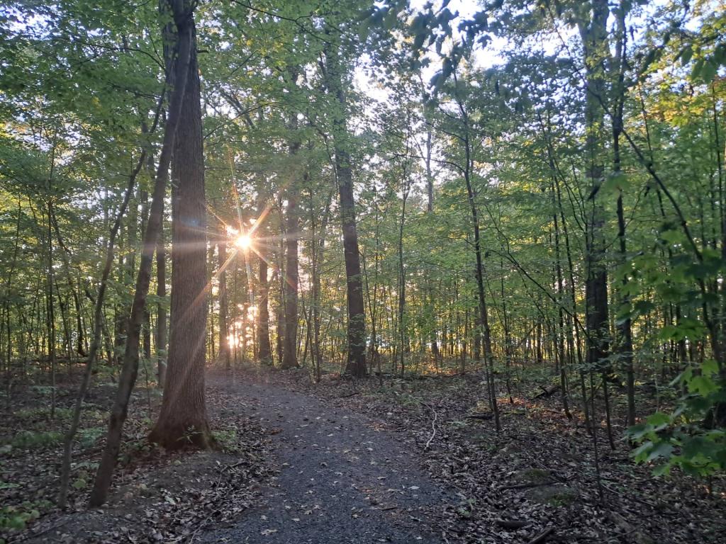 Photo: Accessible Trail to the Cliffs Photo: Accessible Trail to the Cliffs