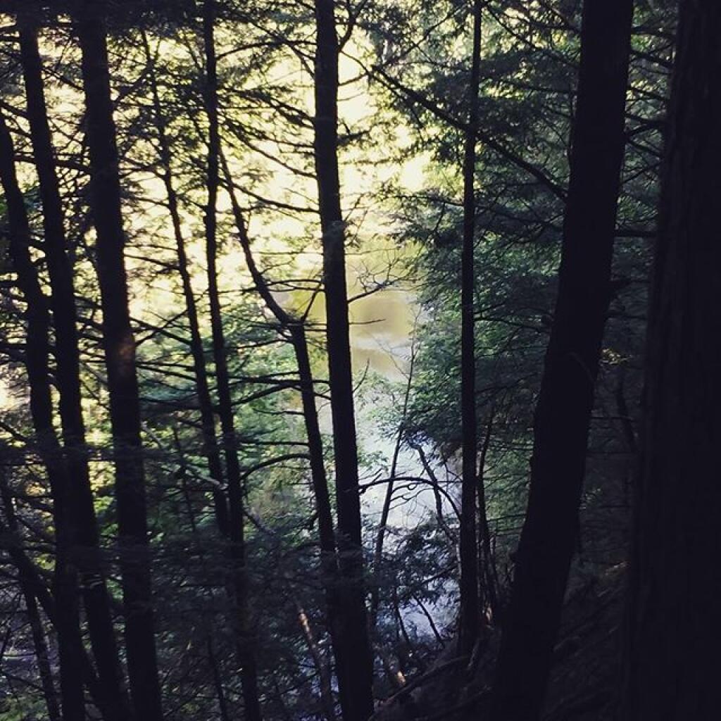 Photo: Undeveloped creek