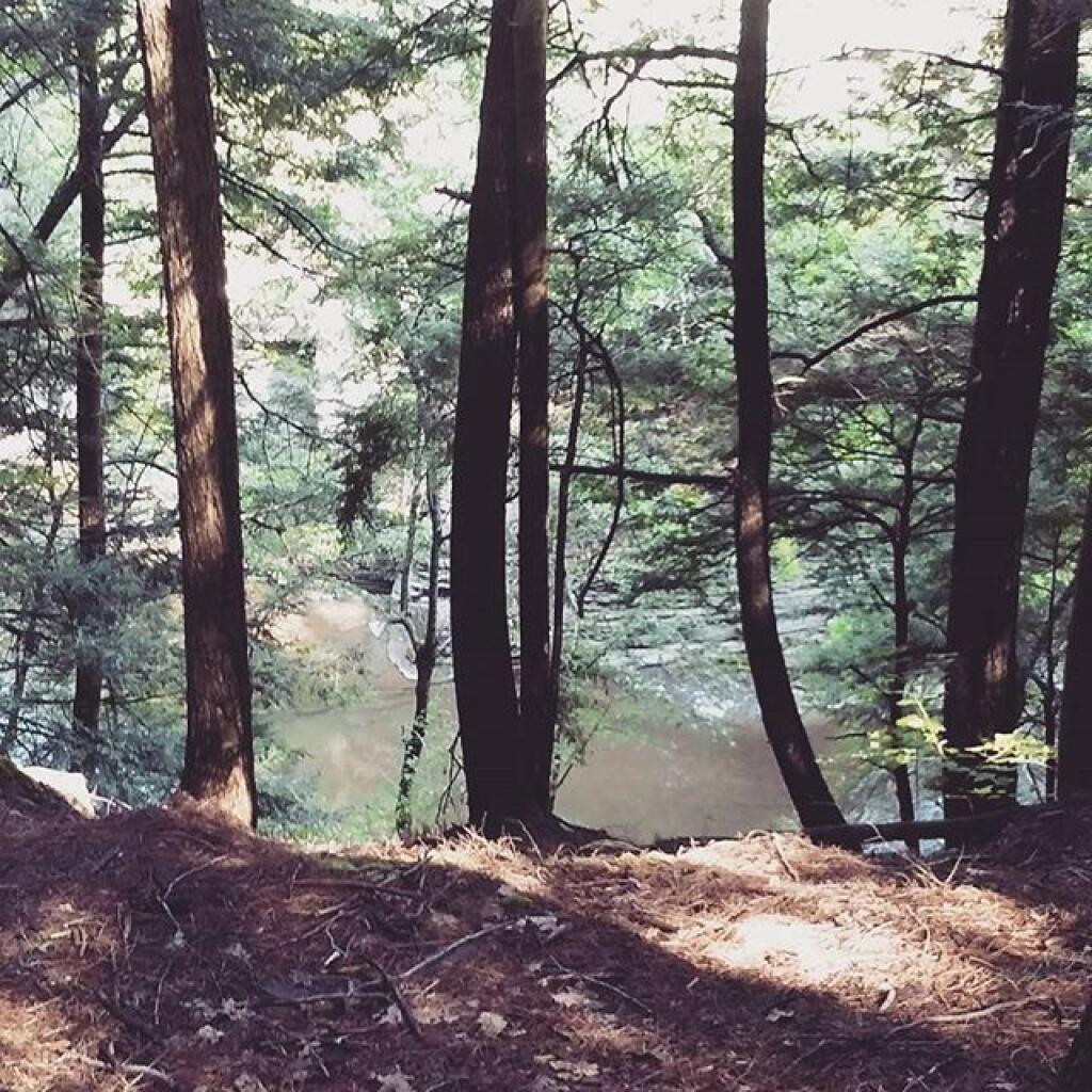 Photo: Glen Creek