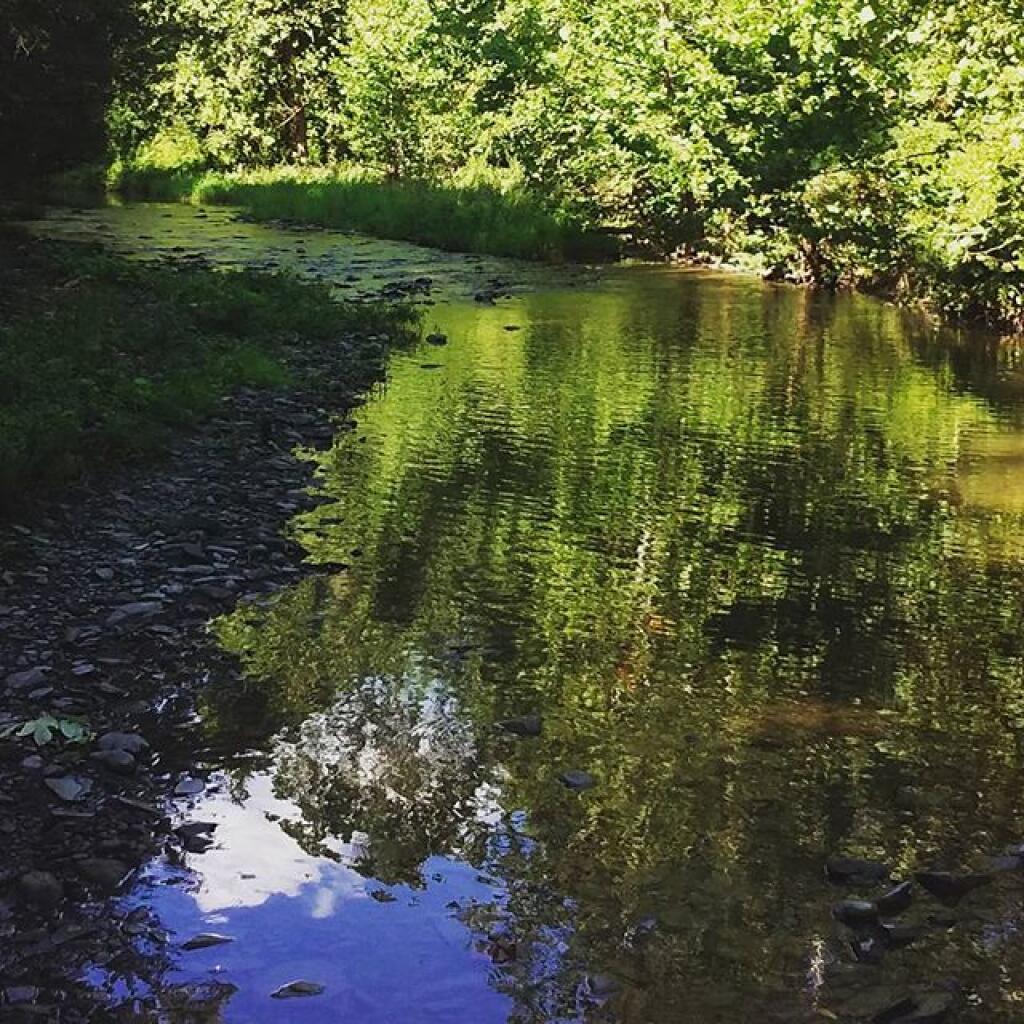 Photo: Upper Glen Creek is so placid