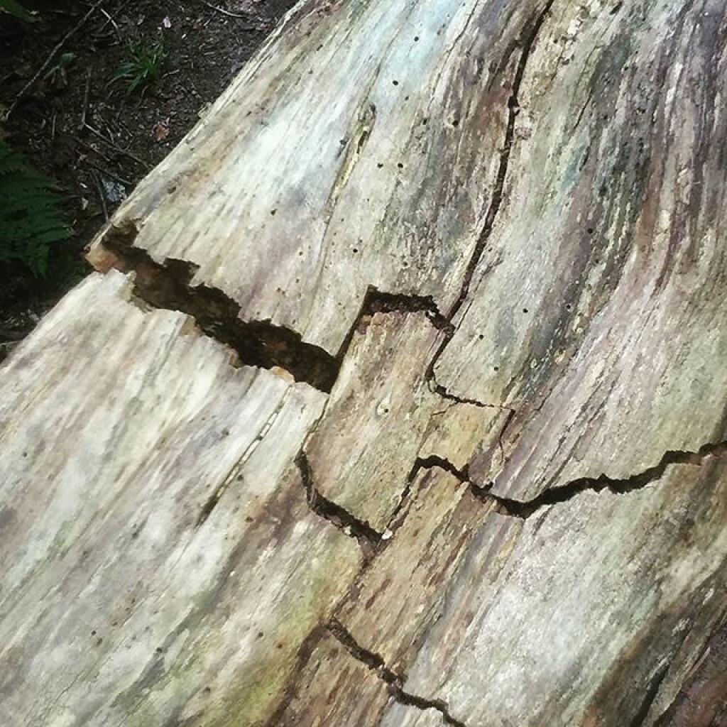 Photo: Crack Photo: Crack