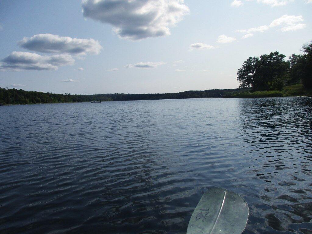 Photo: Pretty Green Paddle Photo: Pretty Green Paddle