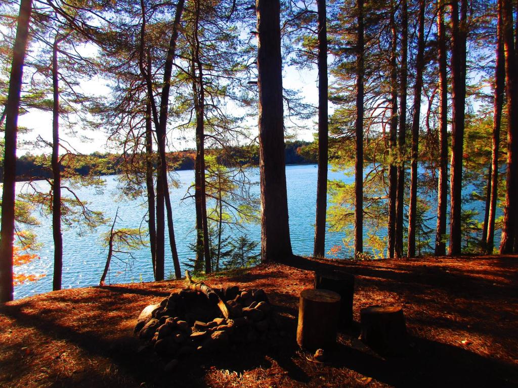 Photo: Campsite 5 on Little Green Pond