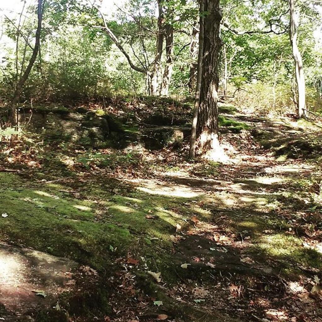 Photo: Exploring