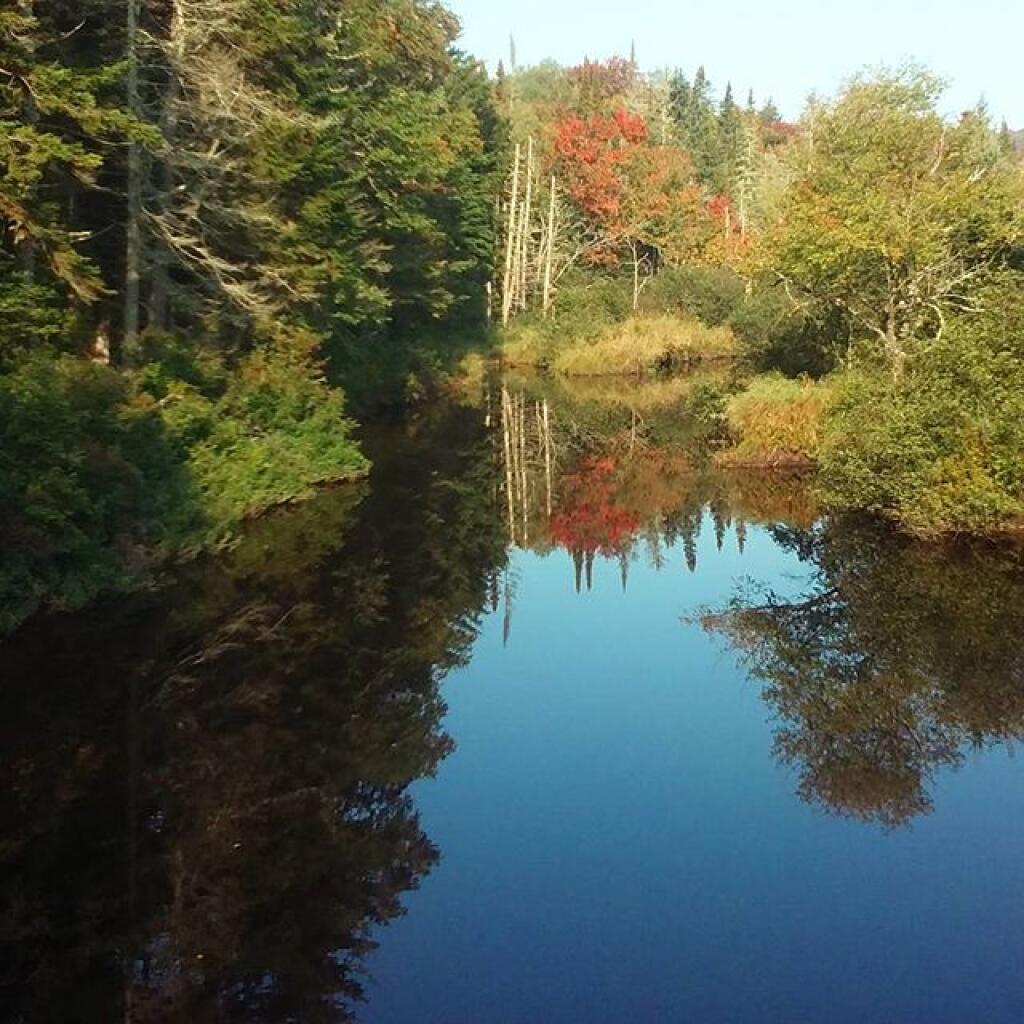 Photo: East Canada Creek