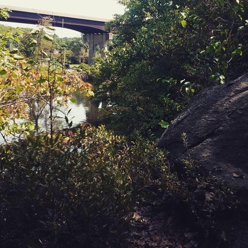 Photo: South
