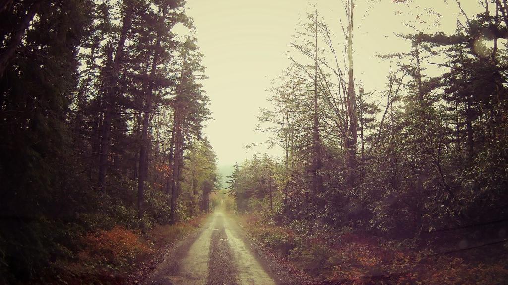Photo: Rainy when I got to West Virginia Photo: Rainy when I got to West Virginia