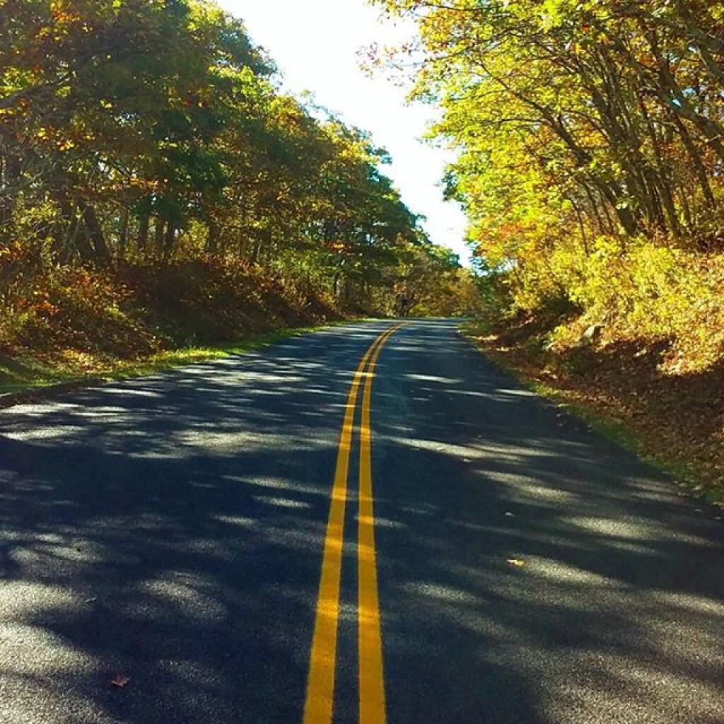 Photo: Along the Parkway Photo: Along the Parkway