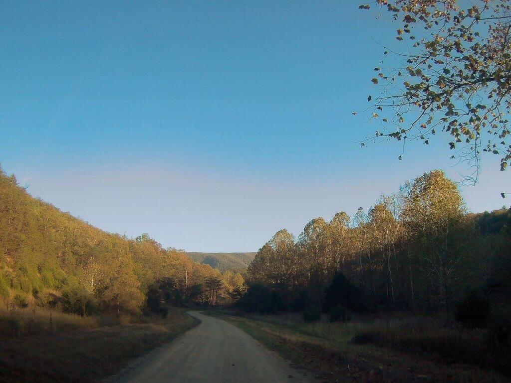Photo: Along Camp Run Road