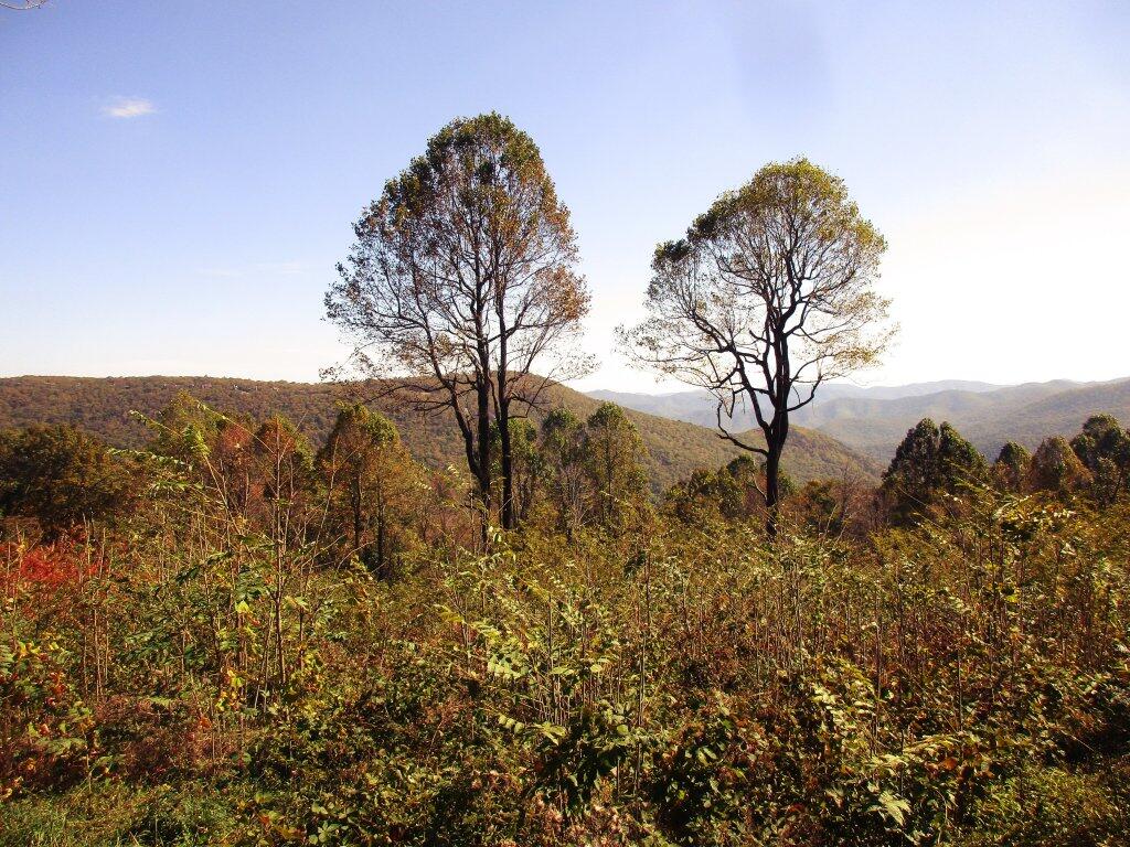 Photo: Blue Ridge Parkway 2 Photo: Blue Ridge Parkway 2