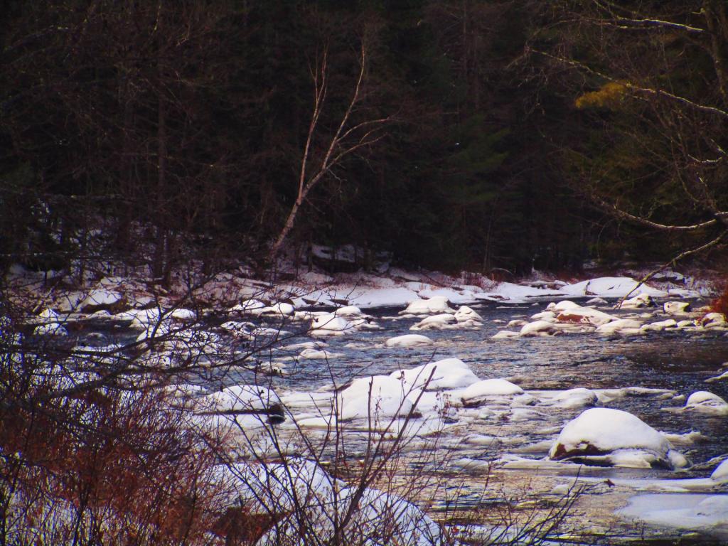 Photo: Boreas River Photo: Boreas River