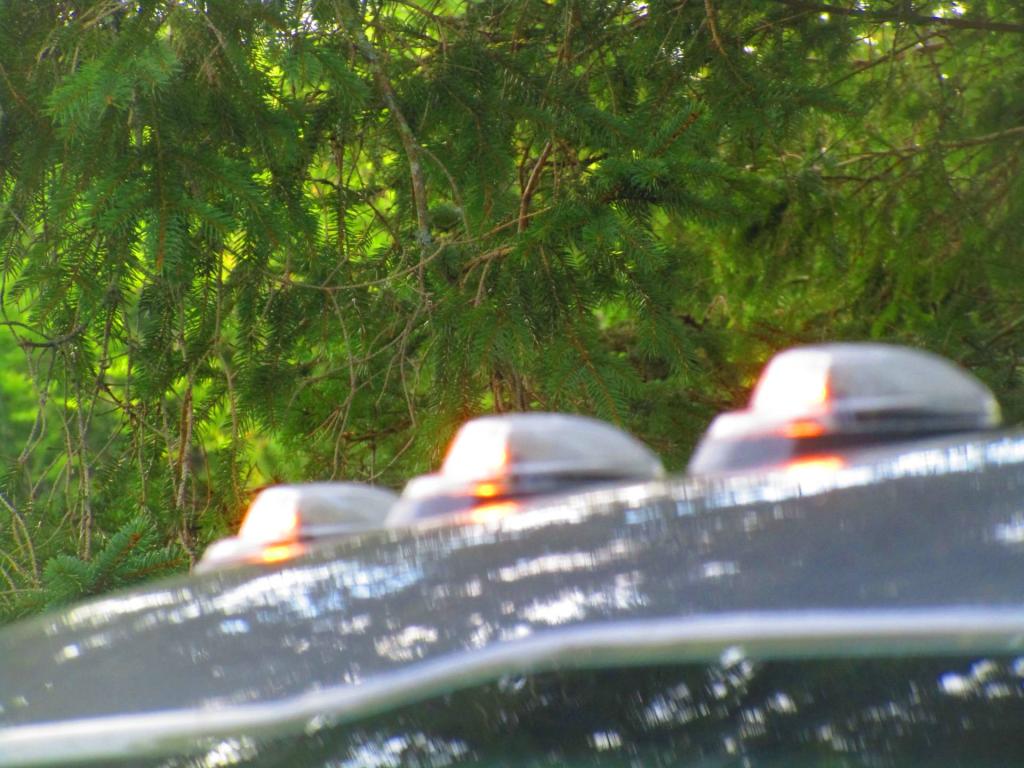 Photo: Roof Lights [Expires September 15 2026]