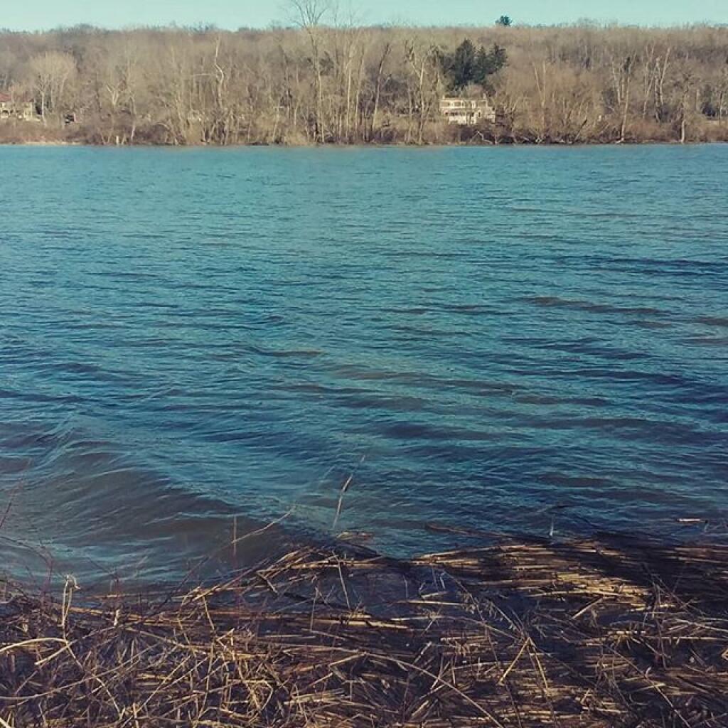 Photo: Across the creek Photo: Across the creek
