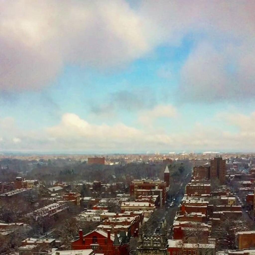 Photo: Clearing