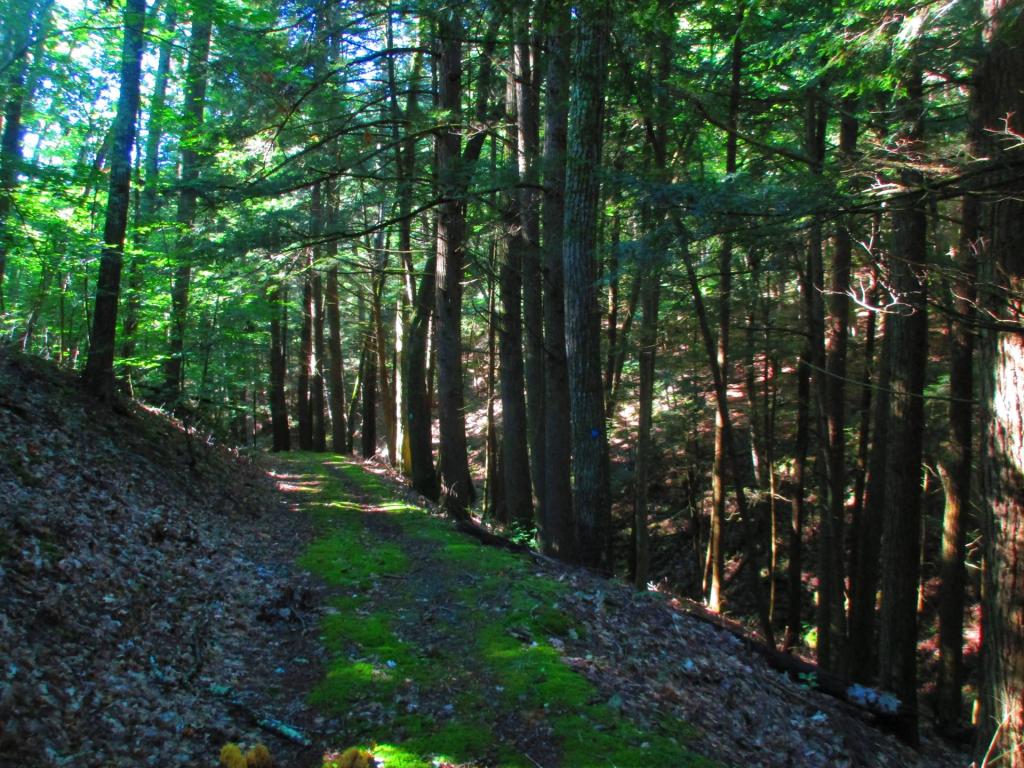 Photo: Old Doney Hollow Road