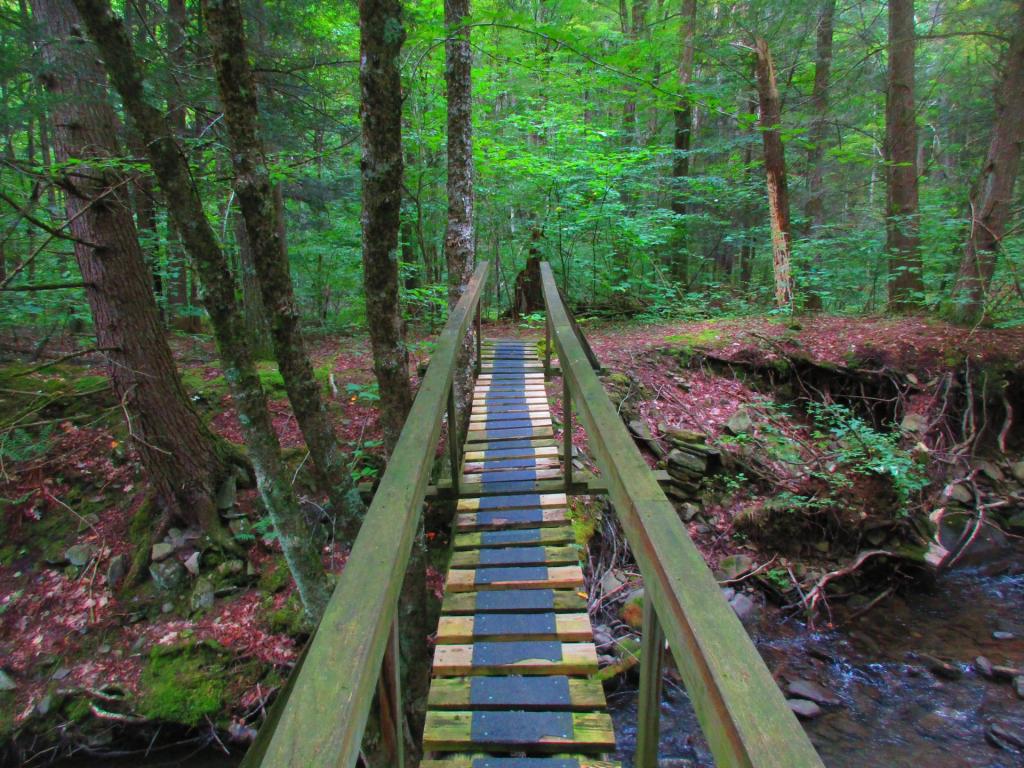 Photo: Doney Hollow Bridge Photo: Doney Hollow Bridge