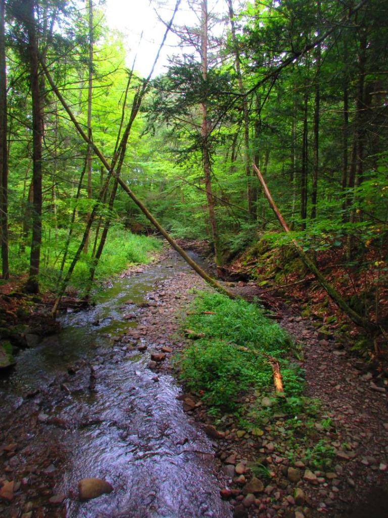 Photo:Donney Creek Photo:Donney Creek