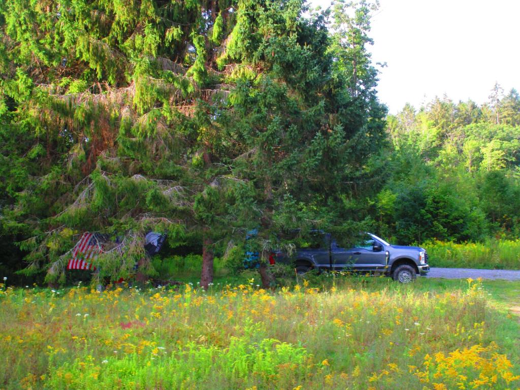 Photo: Camp [Expires September 15 2026]