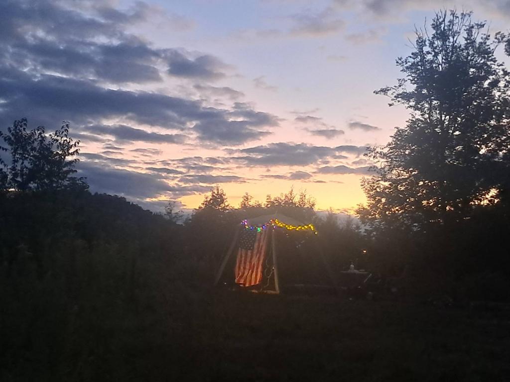 Photo: Untitled [Expires September 18 2026]