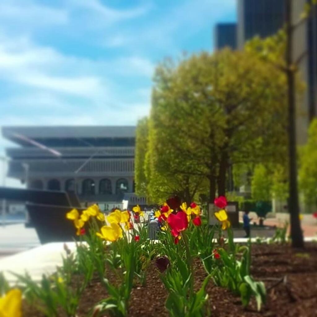 Photo: Spring