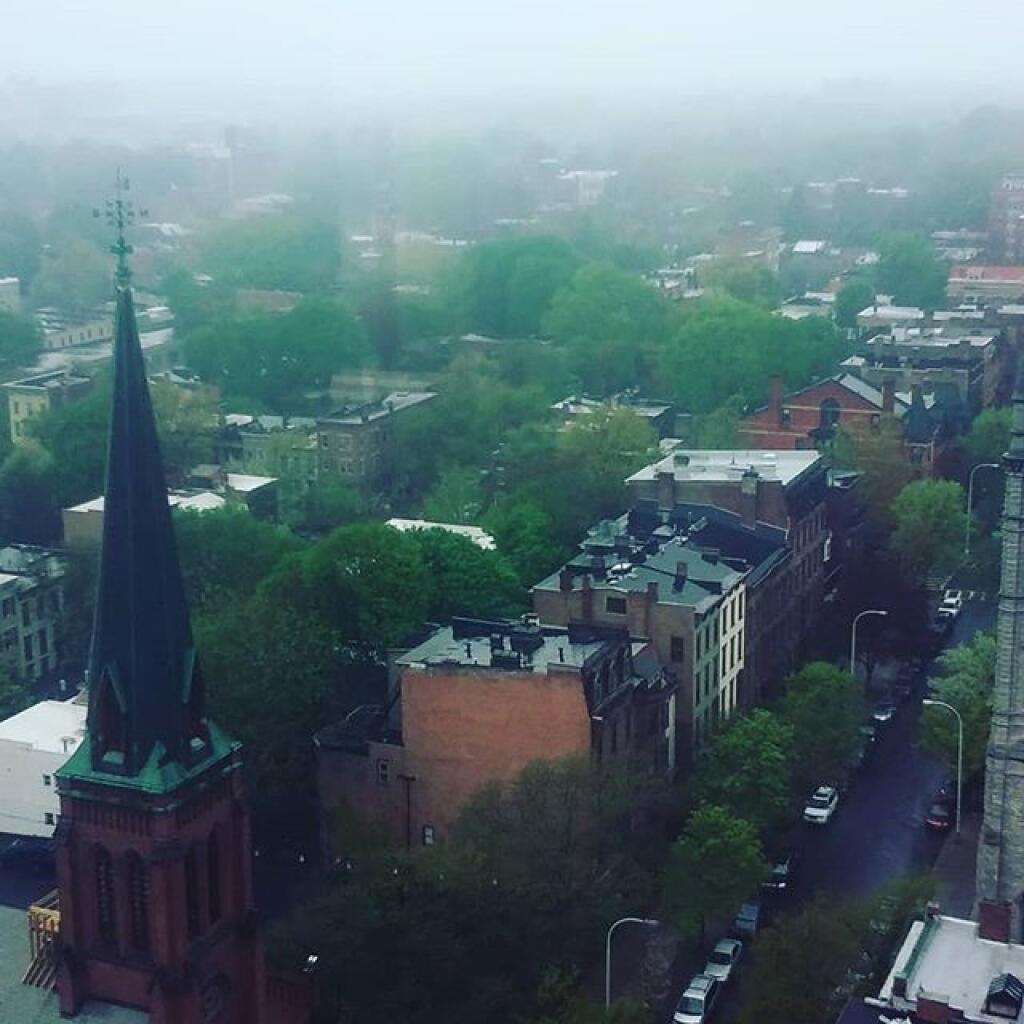 Photo: Dreary Day for Tulip Festival Photo: Dreary Day for Tulip Festival