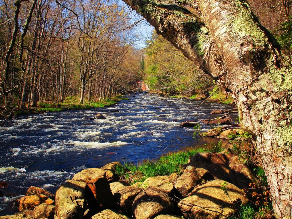 Photo: Christie Falls Hydro Plant Photo: Christie Falls Hydro Plant