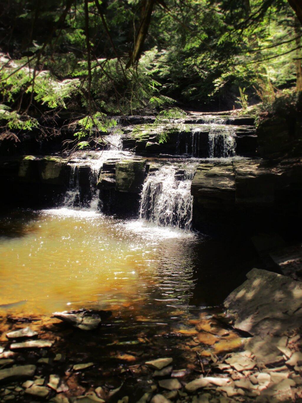 Photo: Lower Falls Photo: Lower Falls